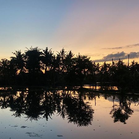 Villa Mon Reve Ubud Exteriör bild