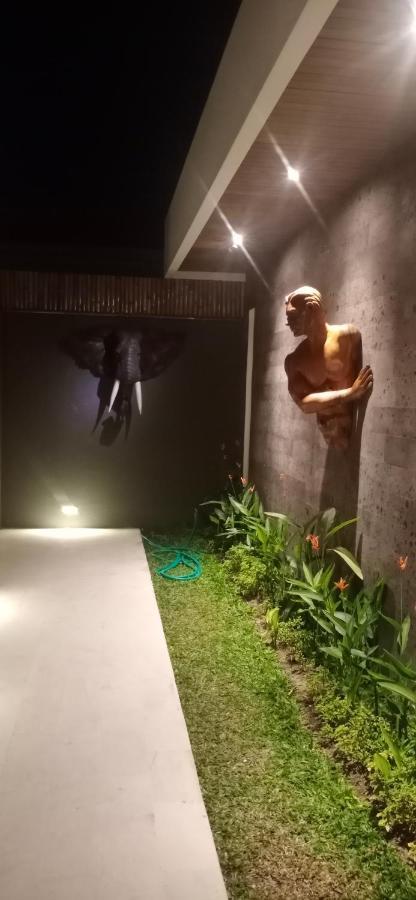 Villa Mon Reve Ubud Exteriör bild