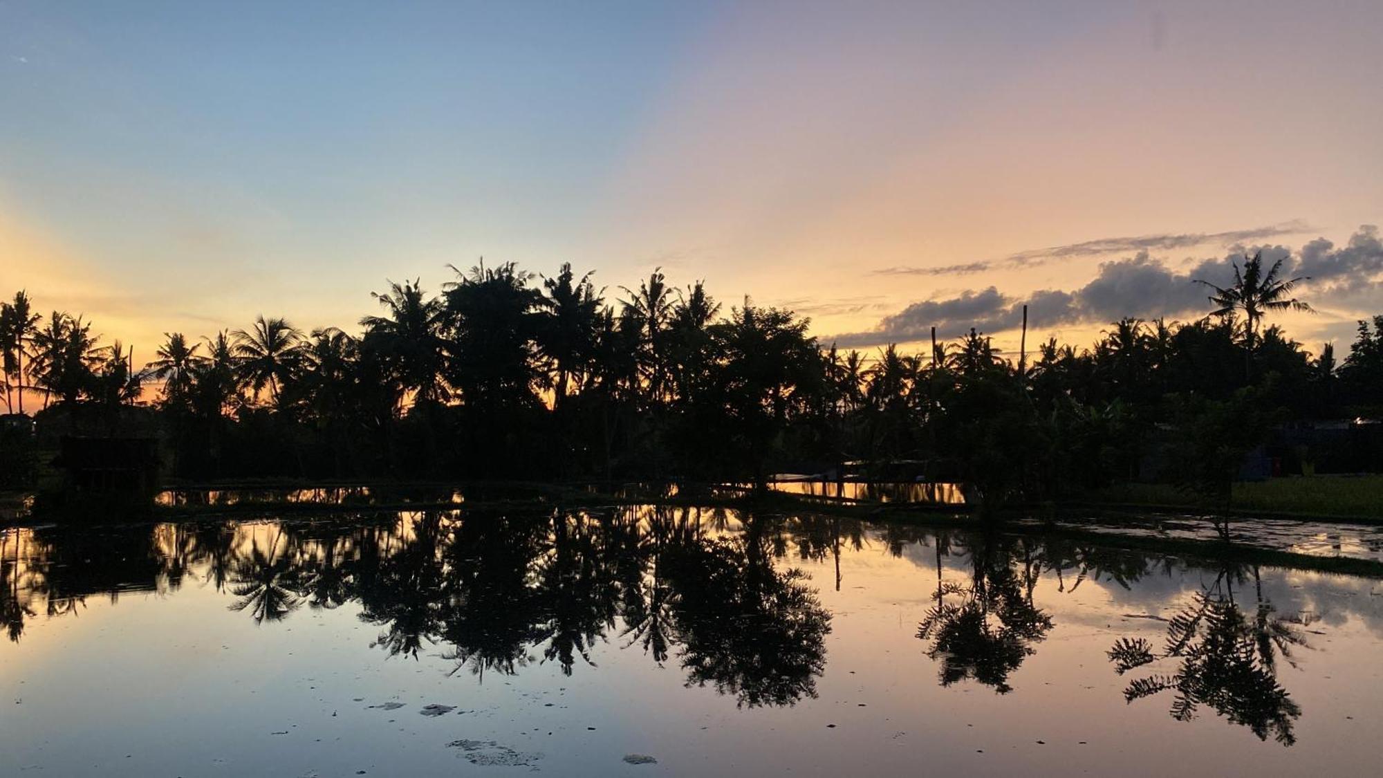 Villa Mon Reve Ubud Exteriör bild